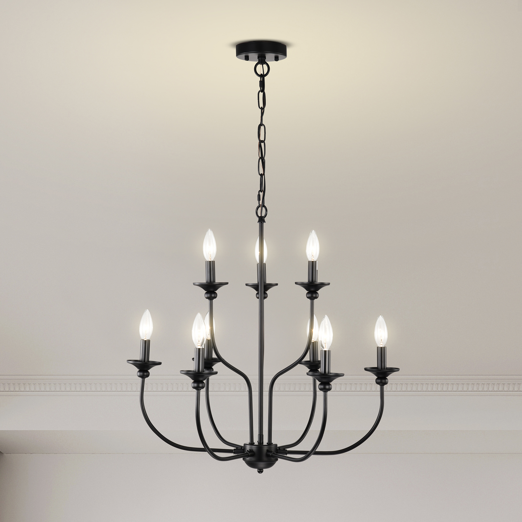 Rosalynne 25.8 in. 9-Light Indoor Matte Black Finish Chandelier with Light Kit