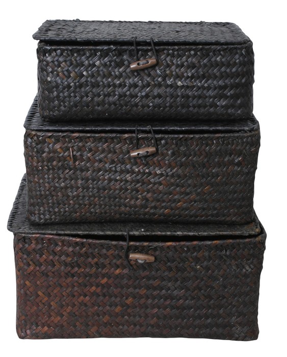 Set Of 3 Trunks