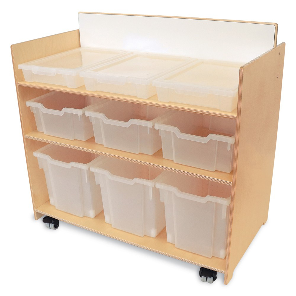 Preschool Stem Cart