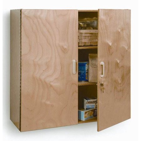 Lockable Wall Mounted Cabinet