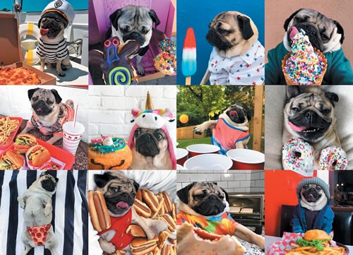 Doug the Pug Pug Life 1000-Piece Puzzle