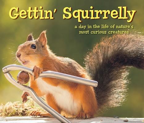 Gettin' Squirrelly