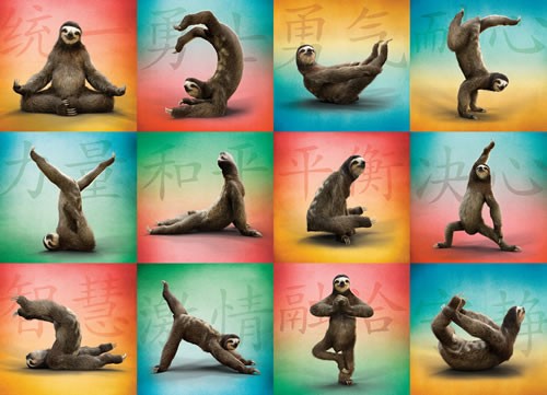 Sloth Yoga 1000-Piece Puzzle