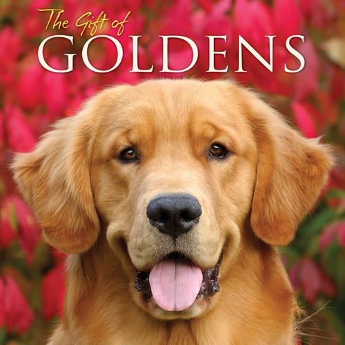 The Gift Of Goldens