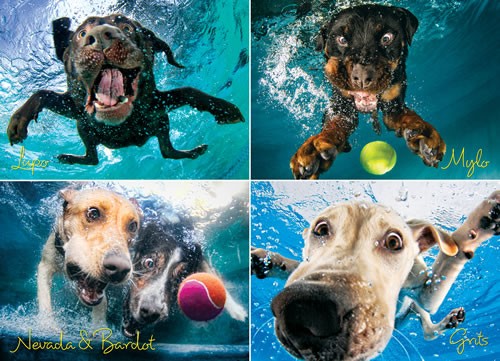 Underwater Dogs: Splash 1000-Piece Puzzle