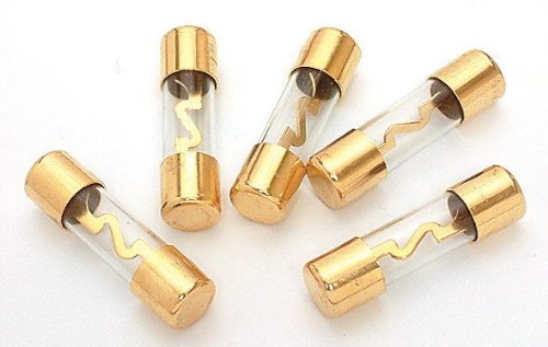 Agu Fuses 100Amp 5 Pack Gold Xscorpion