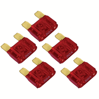 Xscorpion 100 Amp Fuses 5per Bag