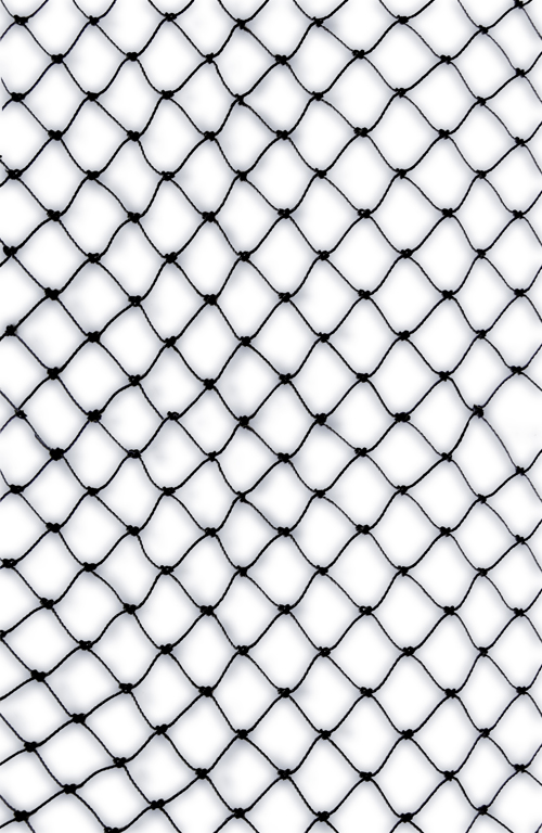 Bird-X PE Knotted Netting, 2" Mesh, 50' x 50', Black