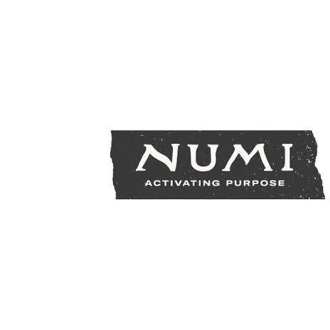 Numi Tea