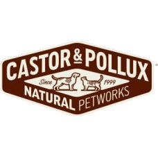 Castor & Pollux